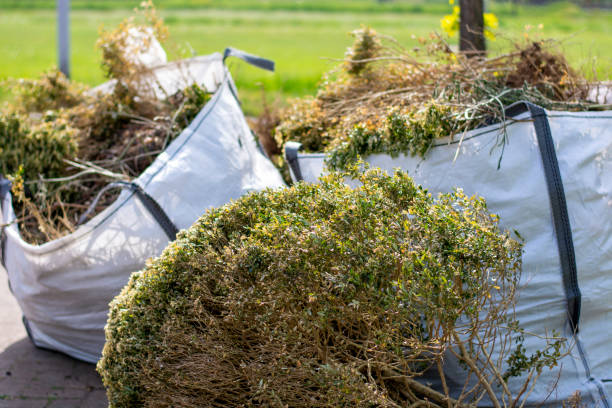 Best Moving and Downsizing Cleanouts  in Parkston, SD